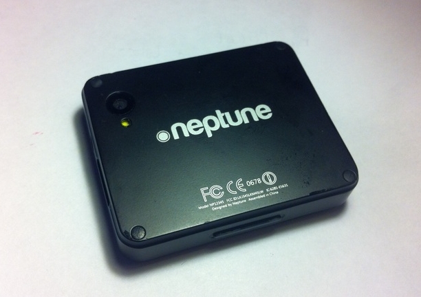 Neptune Pine
