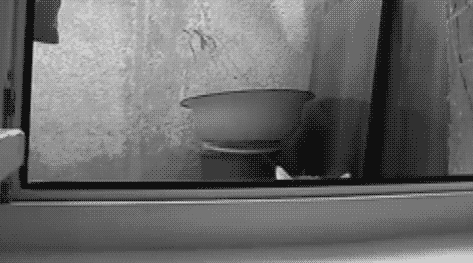 Некоторые женщины боятся оставаться наедине