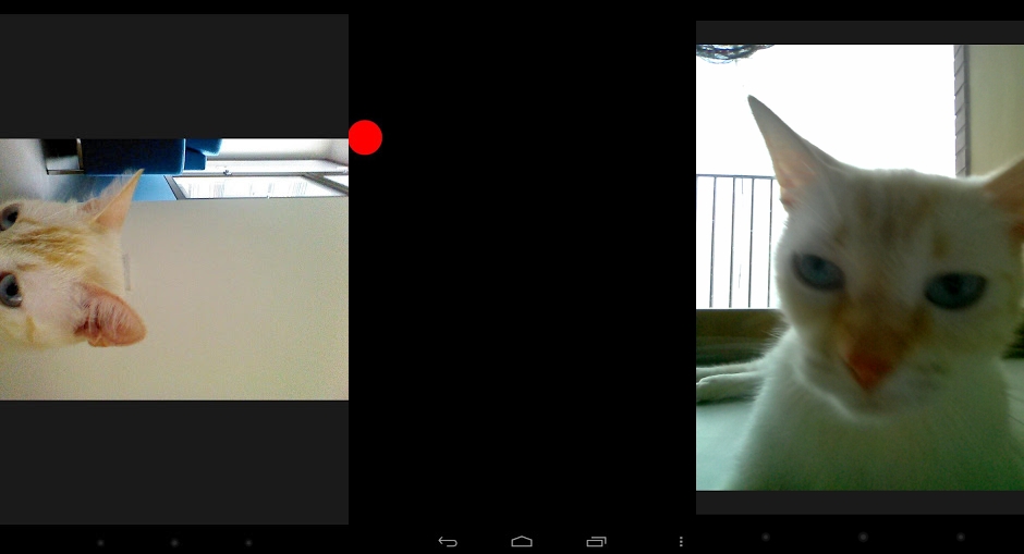 Snapcat - приложение для котиков