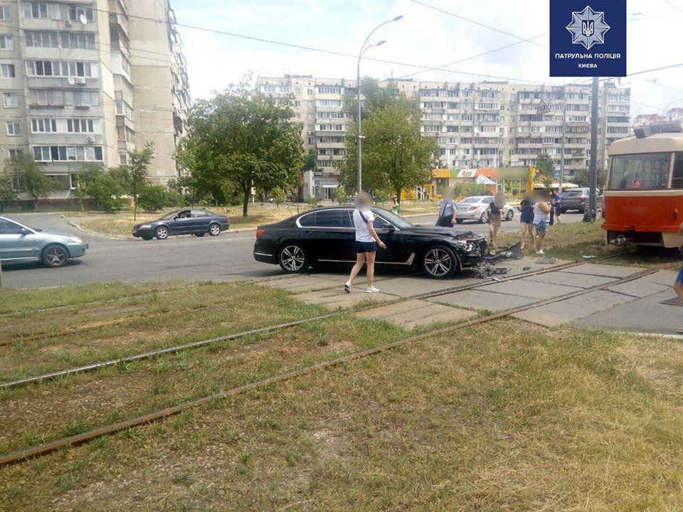 В Киеве пьяная женщина снесла забор, а в области погиб лось: Сводка