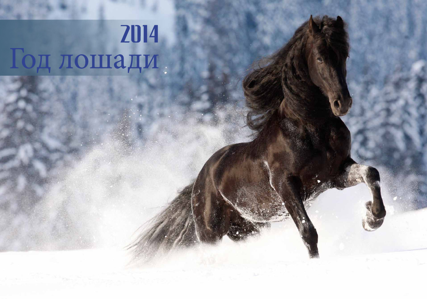 Новый Год 2014 Где