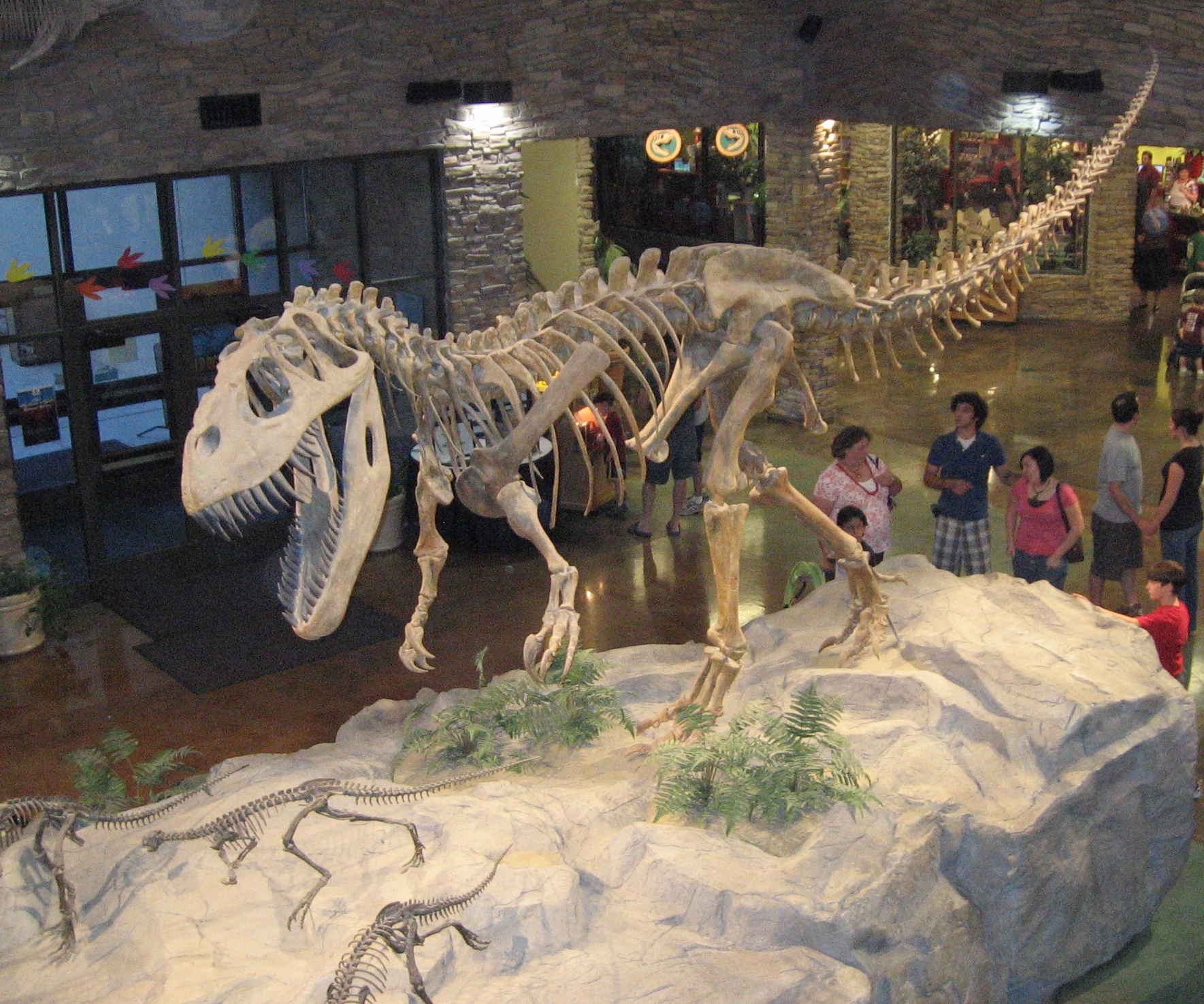 Torvosaurus gurneyi является родственником Торвозавра