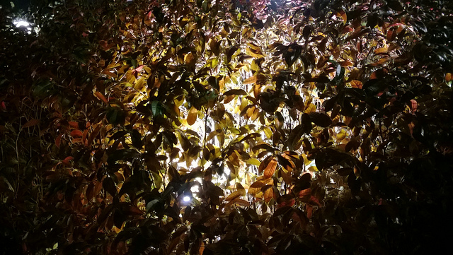 Nokia Lumia 925