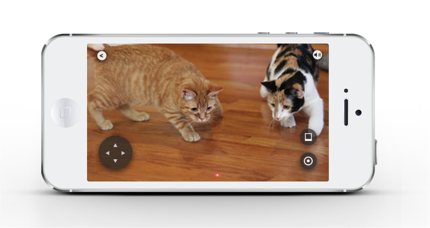 Petcube управляется через смартфон