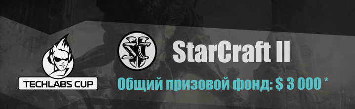 TECHLABS CUP UA 2013