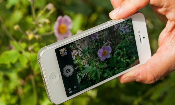iPhone 5