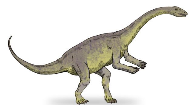 Lufengosaurus — травоядные ящеры с длинными шеями, рост которых достигал 9 метров.