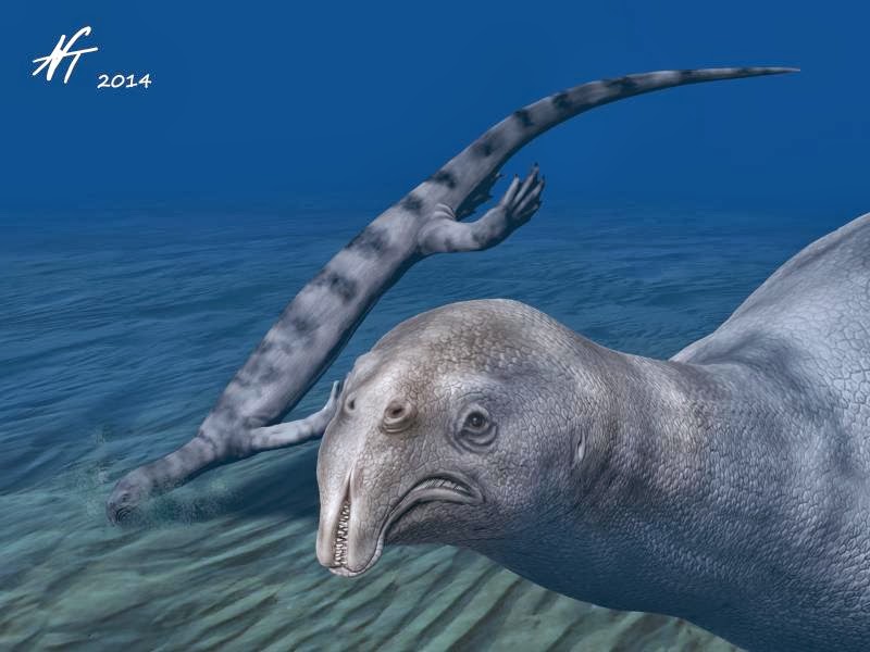 Atopodentatus Unicus
