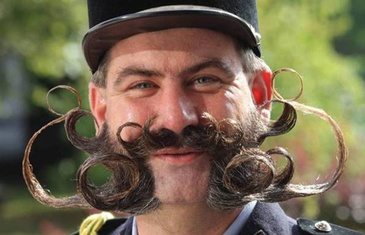 StachePassions