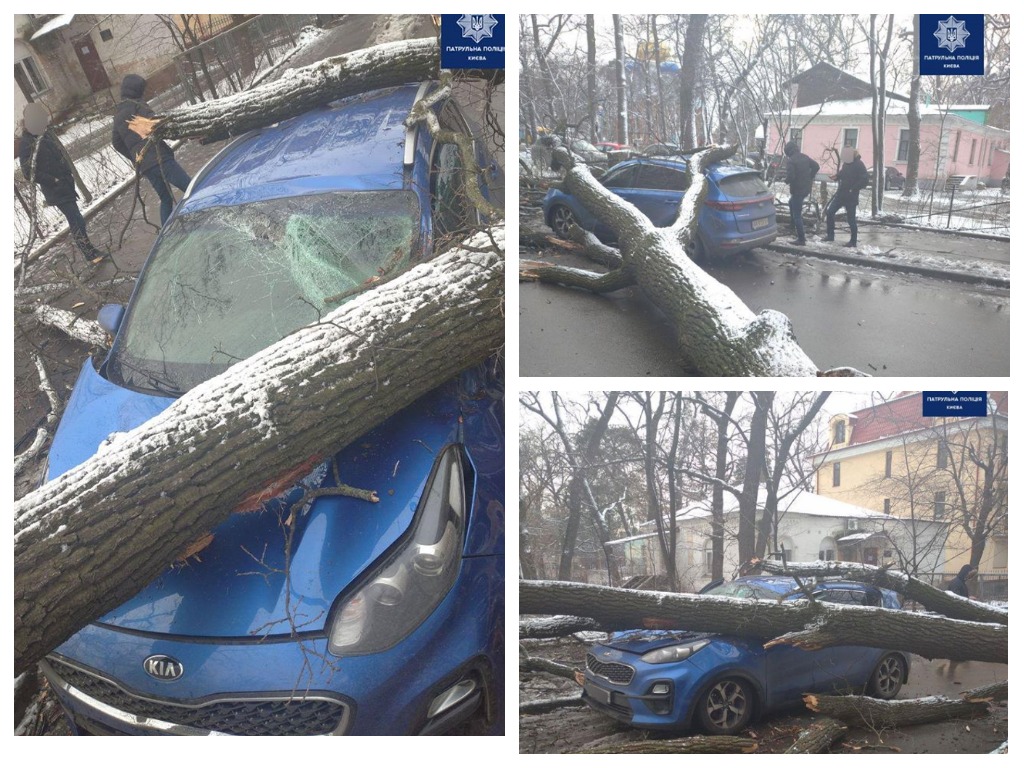 Получится ли водителю получить компенсацию за авто - неизвестно