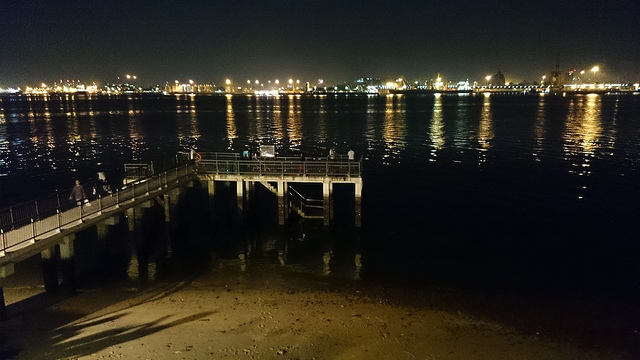 Sony Xperia Z1