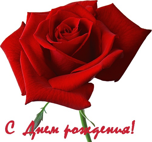 С Днем Рождения, Лариса!