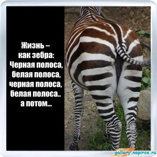 Как провести конкурс рисунков в лагере Как провести конкурс рисунков в лагере