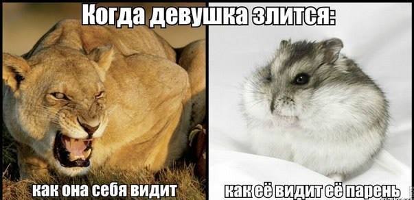 Как выбрать алкоголь в подарок начальнику? - АлкоХакер Добрый вечер » Музыкальные открытки