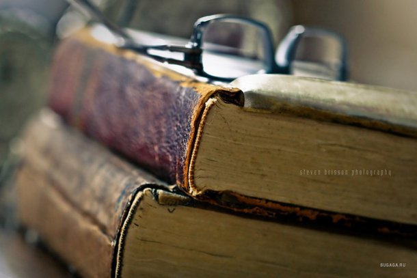 Вірний Друг Друге Серце Твір Вірний Друг Друге Серце Твір