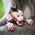 Baby Monkey Slider Puzzle