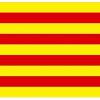 vispain