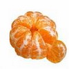 CitrusReticulata
