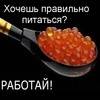 VOLLGAZ