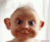 kost�