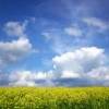 CGCraft