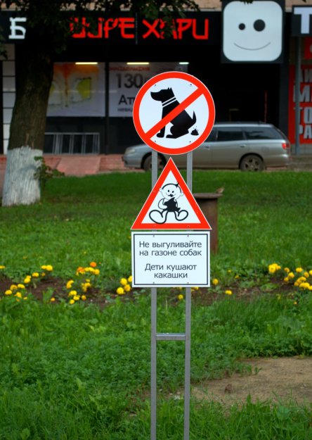 Картинка дня