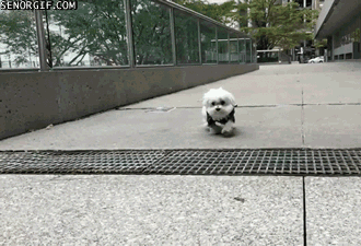 �������� �����