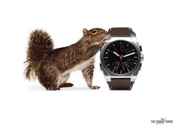 ���������� ������� Puma