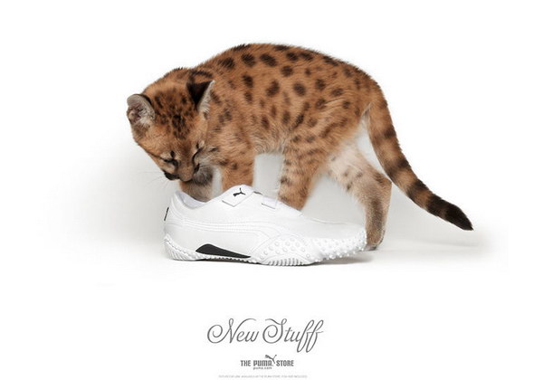 ���������� ������� Puma