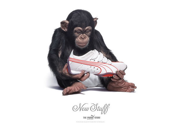 ���������� ������� Puma