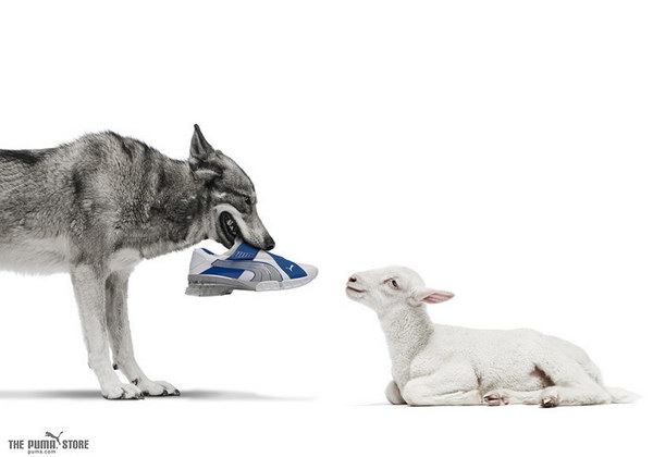 ���������� ������� Puma