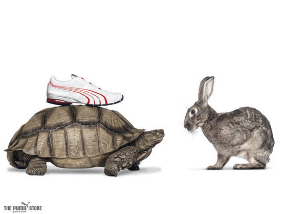 ���������� ������� Puma
