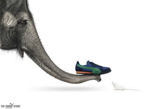 ���������� ������� Puma