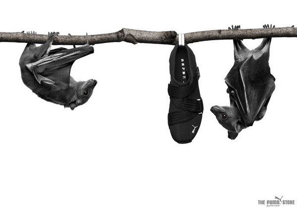 ���������� ������� Puma