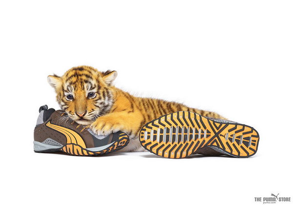 ���������� ������� Puma