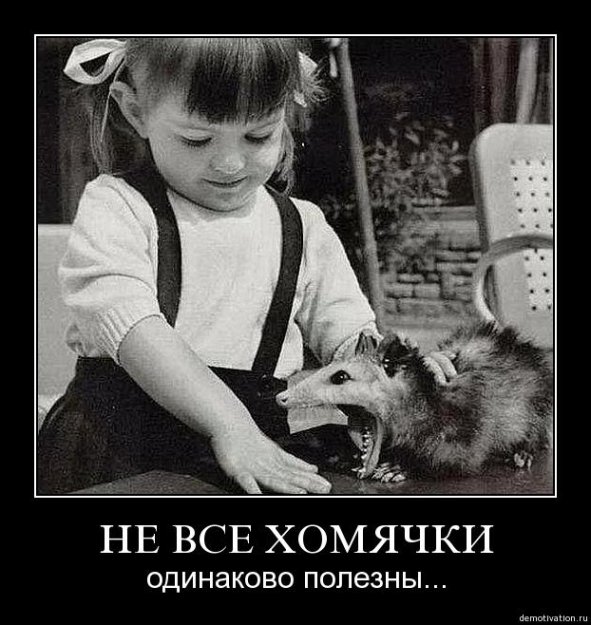 Демки