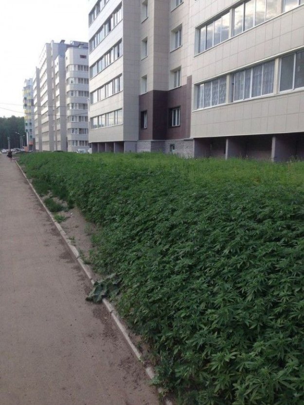 ���������� ������ ��� ������