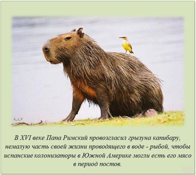 ����� ��� ���� �� �����