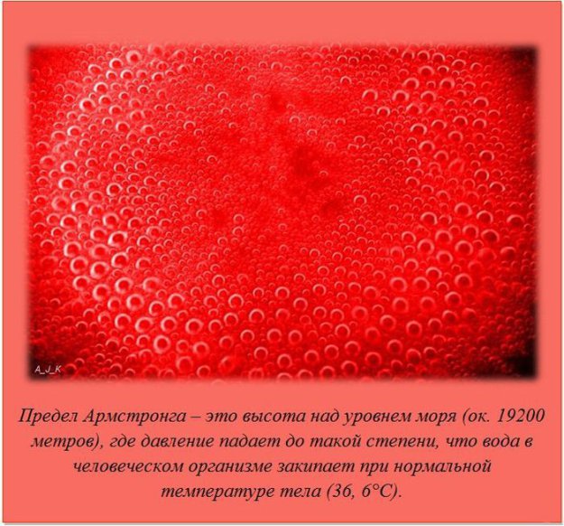 ����� ��� ���� �� �����