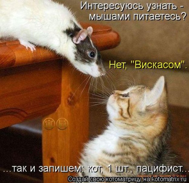 Эти забавные животные