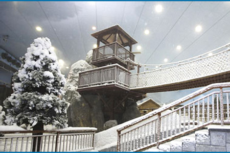 Горнолыжный комплекс SKI DUBAI находится в шопинг-центре Mall of the...