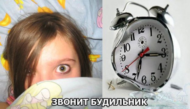 ���� ������� � ������� - ������