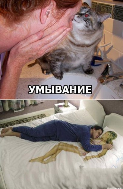 ���� ������� � ������� - ������