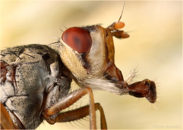 ������������