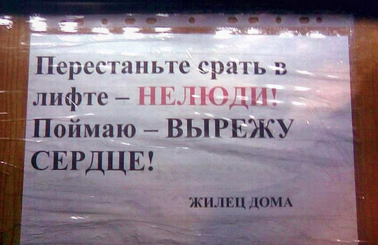 Размещенное изображение