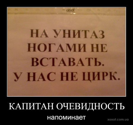 176931_365291.jpg