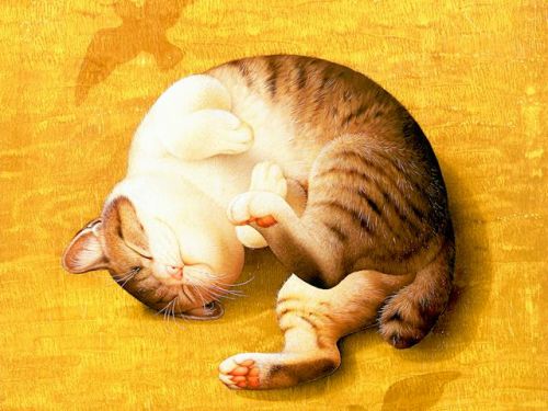 ������� Makoto Muramatsu