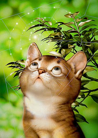 ������� Makoto Muramatsu