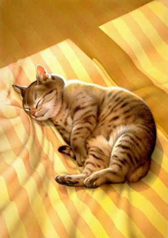 ������� Makoto Muramatsu