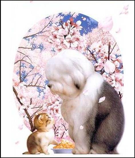 ������� Makoto Muramatsu